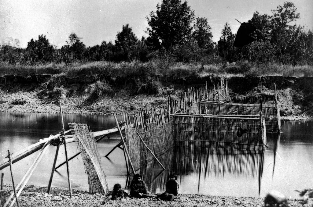 Cowichan salmon weir (Courtesy of Royal BC Museum, BC Archives)