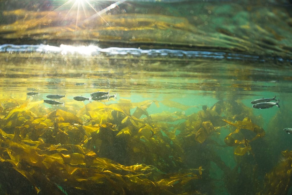 tavishcampbell.ca-8951