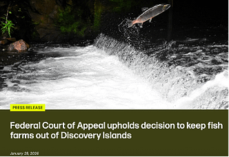 Federal Appeal Court upholds decision keeping fish farms out of DI