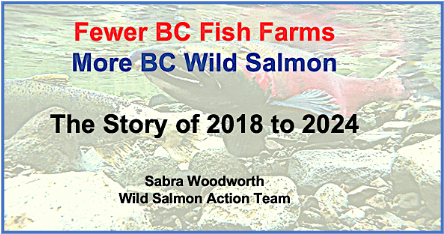 B.C.’s salmon returns up in 2022, 2023, 2024: can this be related to 49 salmon farms closing?