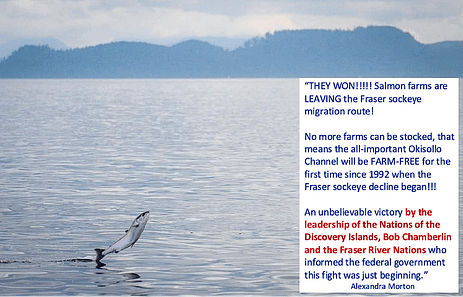 Photo open waters, distant islands silhouette