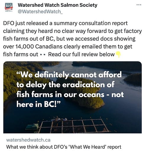Watershed Watch Salmon Society tweet notice of DFO Aquaculture's consultation report along with Watershed's review.