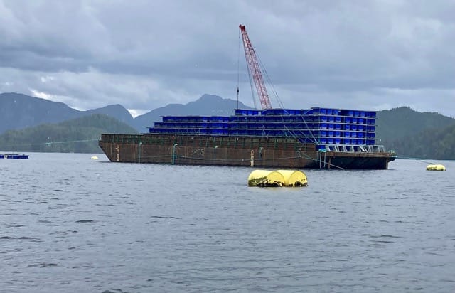 “It’s a Wrap! The huge, expensive Cermaq salmon farm in Wells Pass was loaded on a barge and carried away â huge kudos to Chief Charlie Williams, Gwawaenuk First Nation.” June 15, 2022 Alexandra Morton