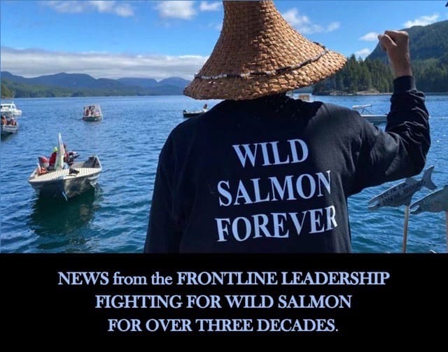 Leadership saving wild salmon