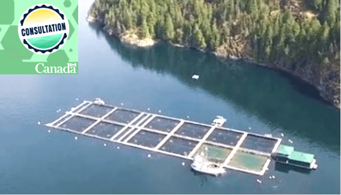 DFO’s transition plan for salmon farms “from BC waters” extended indefinitely past summer 2023 timeline.